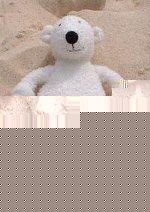 Paddy chilling out on Bondi Beach, Sydney