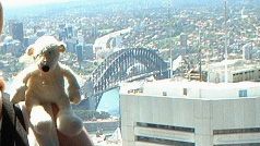 Paddy at the top of Sydney Tower overlooking the Harbour Bridge