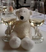 Paddy with 2 glasses of wine at a winery, Sydney